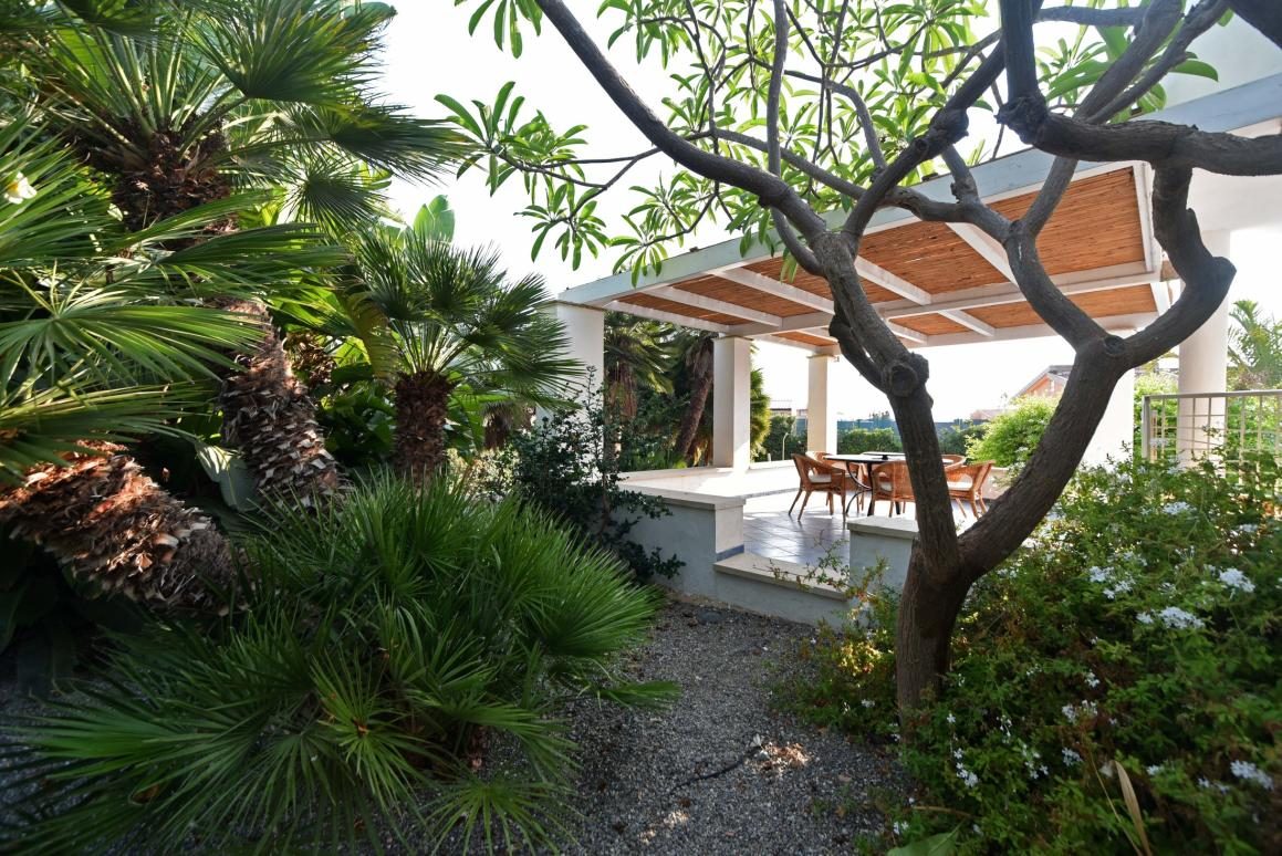 Garden pathway with palms